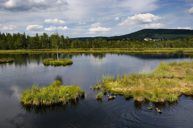barevna_sumava-2