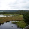barevna_sumava-5