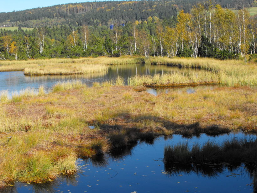 barevna_sumava-6