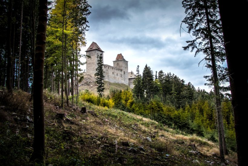 Jarní šumava