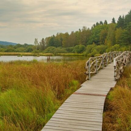Barevná Šumava 25. 10. 2025